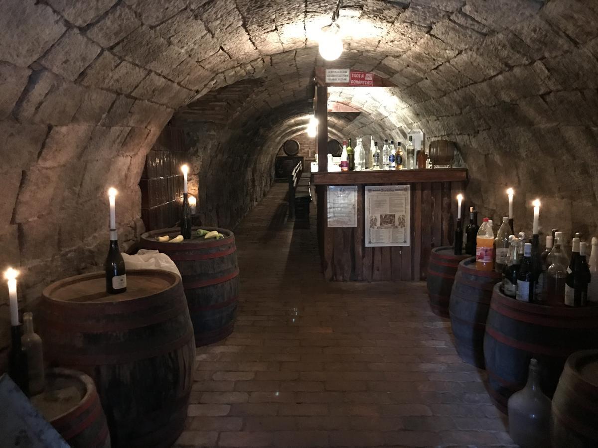 Ovar 12 Vendeghaz Tokaj Buitenkant foto